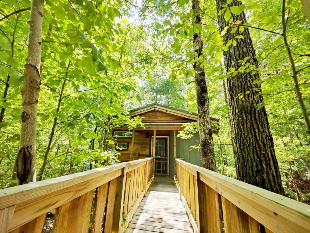 Monteagle Mountain Treehouse Rentals